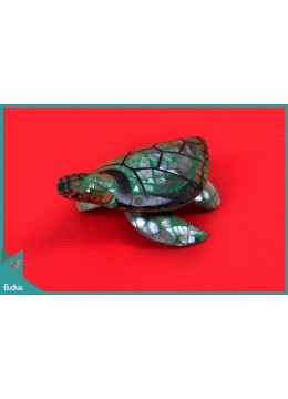 wholesale Top Selling Seashell Turtle Pendants Decorative Manufacturer, Home Decoration