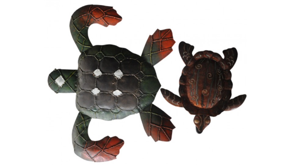 Turtle Iron Arts