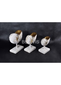 wholesale White Painted Sea Shell Wood Carved Home Decoration, Home Decoration