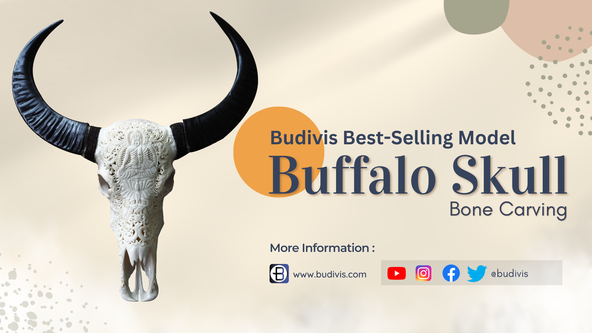 https://www.budivis.com/image/cache/catalog/A%20Blog/A%20blog%20pic/new/NEW/Buffalo%20Skull%20Head-1920x1080.png