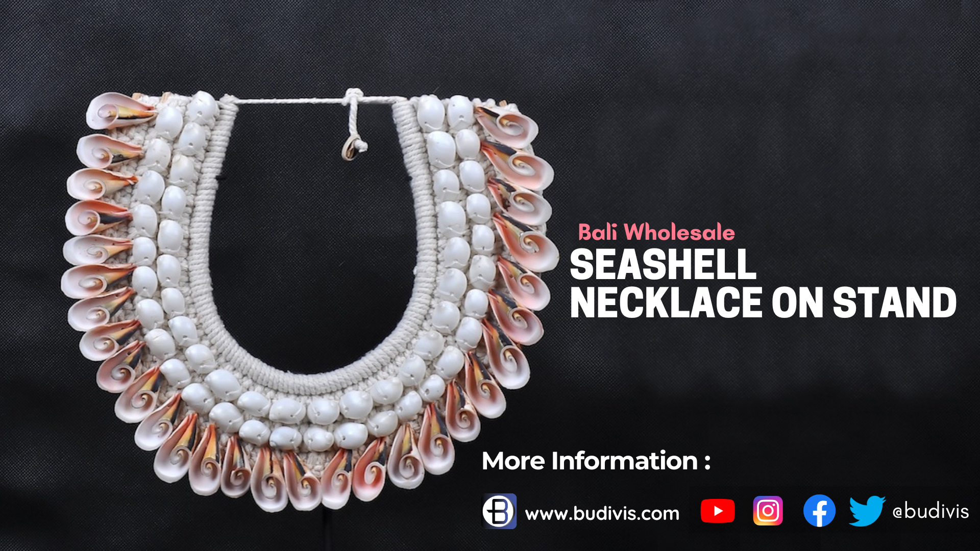 https://www.budivis.com/image/cache/catalog/A%20Blog/A%20blog%20pic/new/Seashell%20Necklace%20on%20stand-1920x1080.png