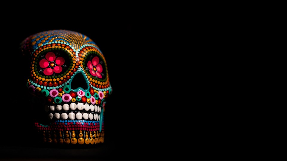 Skull Head Resin Decoration: The Perfect Blend of Art and Affordability at Budivis Store