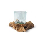 Wholesale Driftwood with Glassbowl Home Decoration Accossoris, Custom Shape Glass Bowl Driftwood