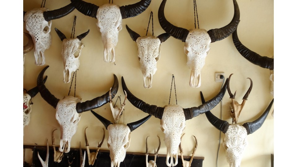 Hanging Art Buffalo Skull Carving