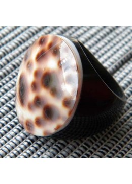 Ring Resin Mop Seashell