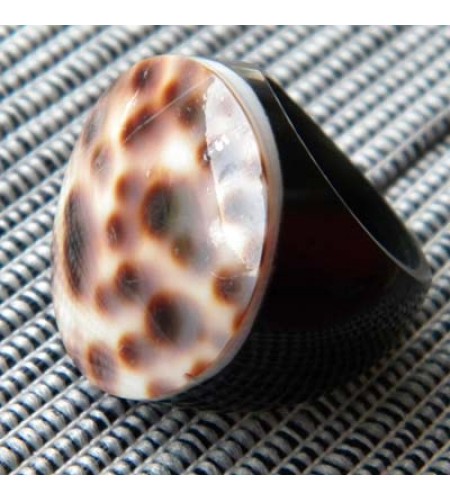 Ring Resin Mop Seashell