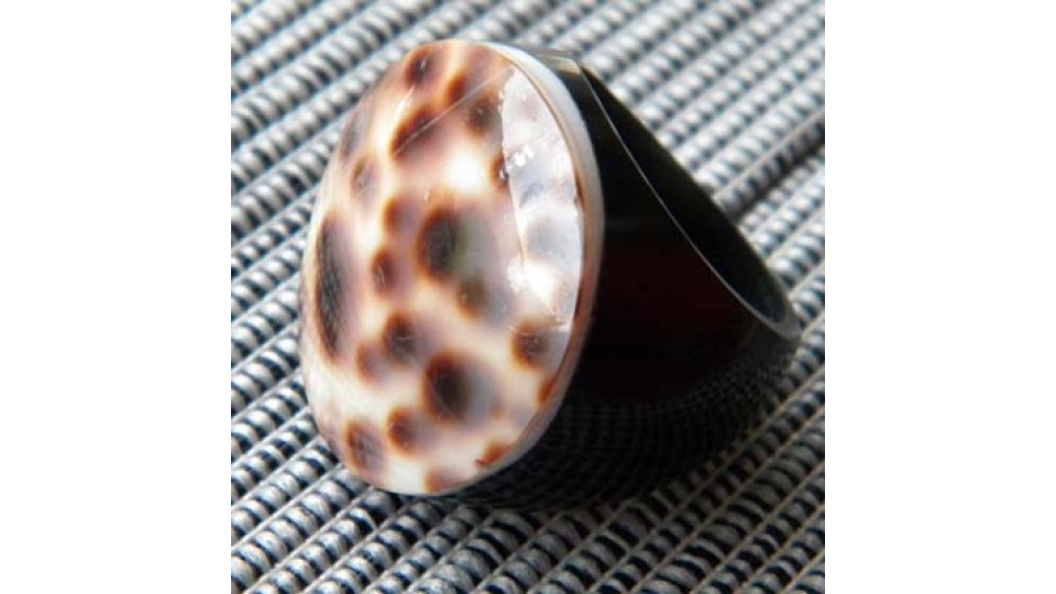 Ring Resin Mop Seashell