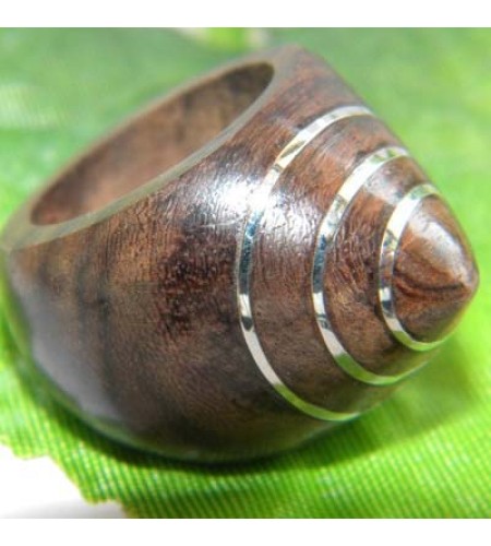 Wooden Ring Stainless