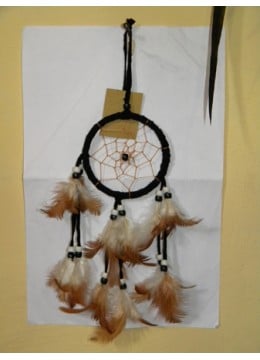 Dream Catcher, Dream Catcher, Dream Catcher Mobile Version