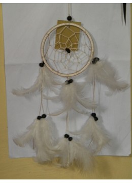 Dream Catcher, Dream Catcher, Dream Catcher Mobile Version