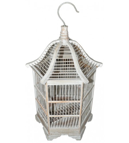 Spider Birdcage Bird House