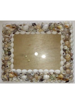 SeaShell Art Frame