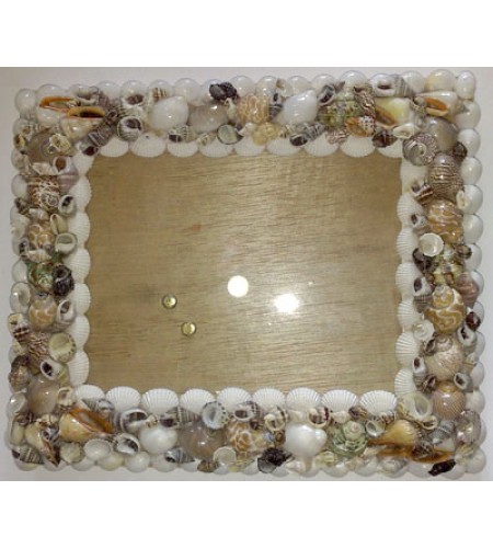 SeaShell Art Frame