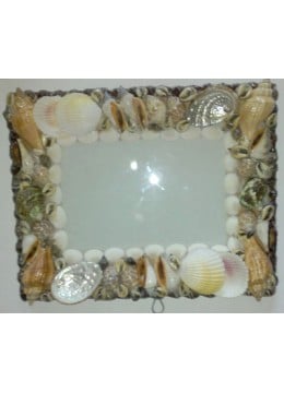 SeaShell Art Frame