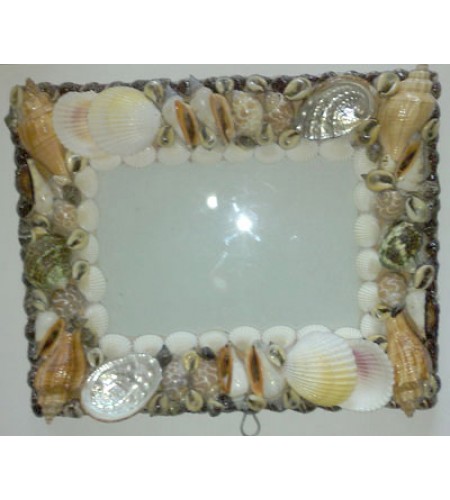 SeaShell Art Frame