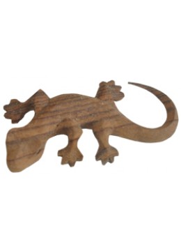 Gecko Sono wood