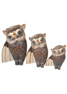 Owl Home Decor Set