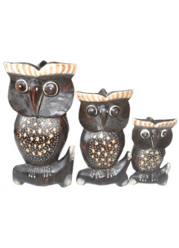 Owl Home Decor Set