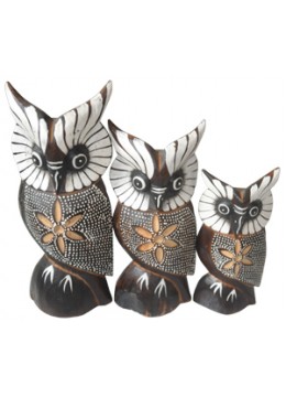 Owl Home Decor Set