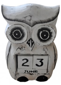 Owl home Decor