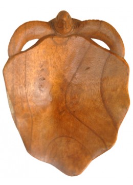 Wood Carving Astray Turtle