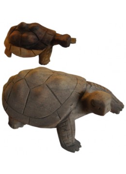 Wood Carving Turtle