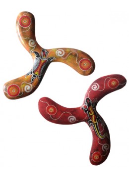 Boomerang Triple Instrument