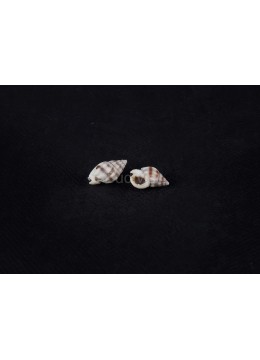 Seashell Material, Raw Seashell, Shell Material, Decorative