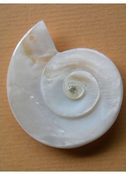 Seashell Pendant Accessory