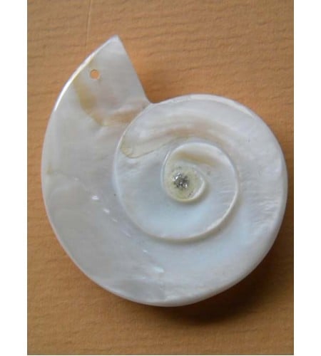 Seashell Pendant Accessory