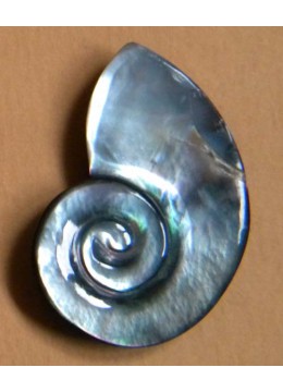 Seashell Pendant