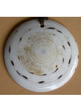 Shell Pendant Accessory