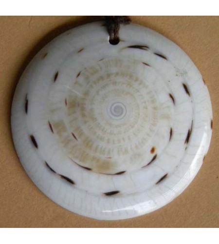 Shell Pendant Accessory