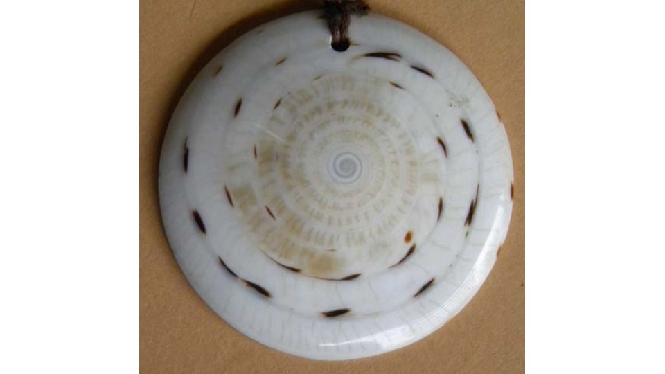 Shell Pendant Accessory