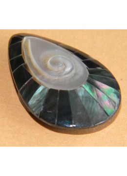 Shell Pendant Accessory