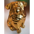 Production Resin Bulldog statue Artificial Resin Buffalo Skull Head Wall Decoration, Resin Figurine Custom Handhande, Statue Collectible Figurines Resin