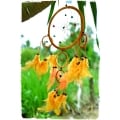 Dream Catcher, Dream Catcher, Dream Catcher Ornament