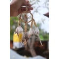 Wholesale Mobile Small Hanging Dream Catcher, Dream Catcher, Dream Catcher