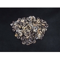 Seashell Material, Raw Seashell, Shell Material, Decorative