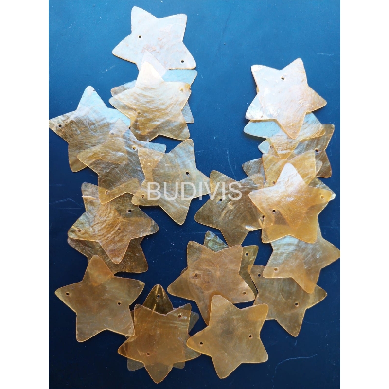 Seashell Material, Raw Seashell, Seashell Supplier, Custom Shape Seashell Capiz