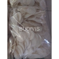 Seashell Material, Raw Seashell, Seashell Supplier, Custom Shape Seashell Capiz