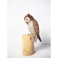 Realistic Wooden Bird Horned Owl