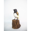 Figurine Wooden Bird, Wood Bird Carving American Redstart