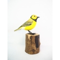 Figurine Wooden Bird, Wood Bird Carving Crowned Warbler