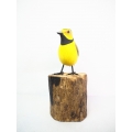 Figurine Wooden Bird, Wood Bird Carving Crowned Warbler