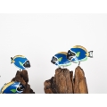 Wooden Fish Driftwood Aquarium Decoration or Terrarium