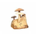 Wholesale Custom Wooden Mushroom Indoor or Outdoor Decoration, Garden Decoration Idea