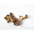 Wholesale Wooden Driftwood for Aquarium or Terrarium Decoration