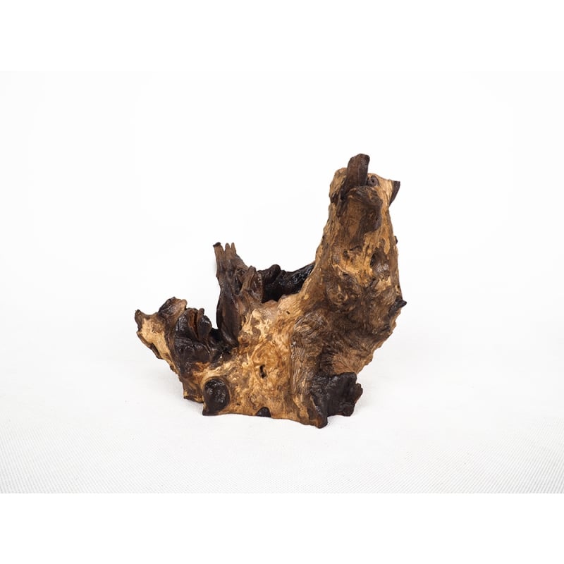 Wholesale Wooden Driftwood for Aquarium or Terrarium Decoration