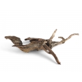 Wholesale Wooden Driftwood for Aquarium or Terrarium Decoration